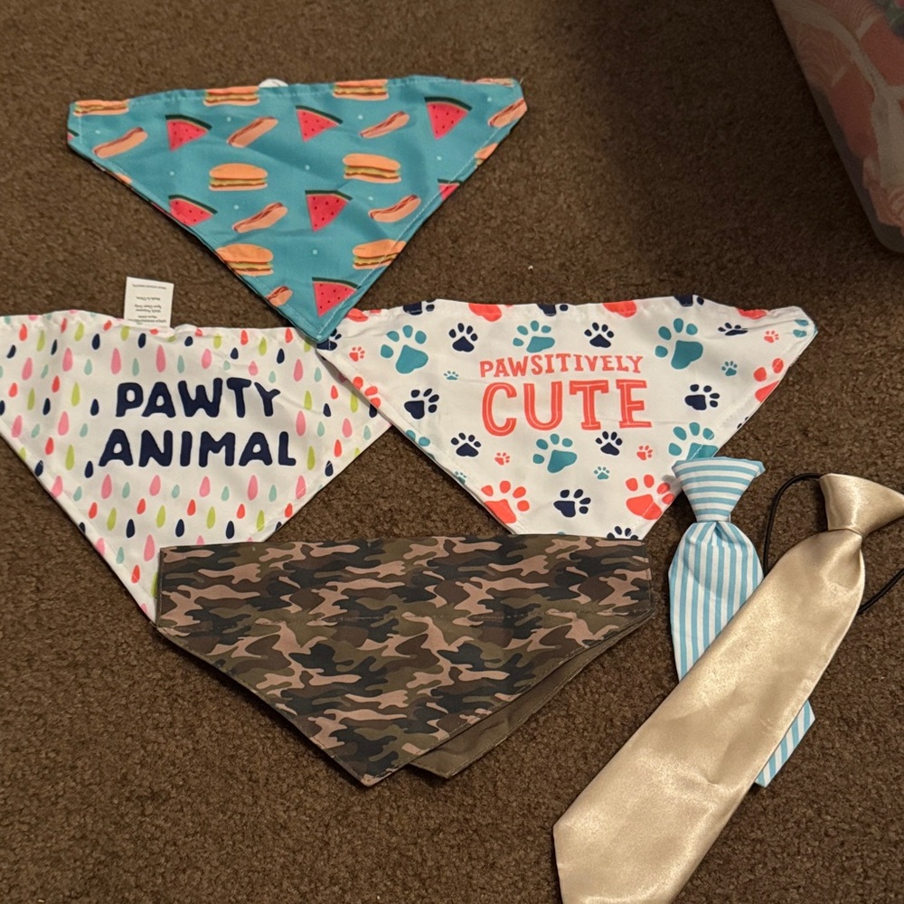 Colorful Bandana and Tie Set